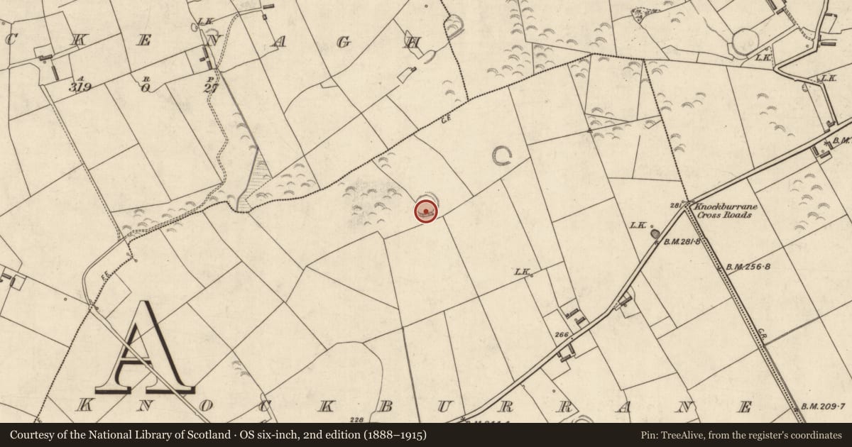 Ordnance Survey six-inch map, 2nd edition (1888–1915) covering the location of Ringfort - rath, Knockburrane, County Kerry, with a pin at the register's coordinates