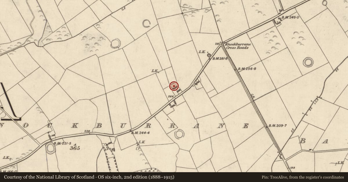 Ordnance Survey six-inch map, 2nd edition (1888–1915) covering the location of Ringfort - rath, Knockburrane, County Kerry, with a pin at the register's coordinates