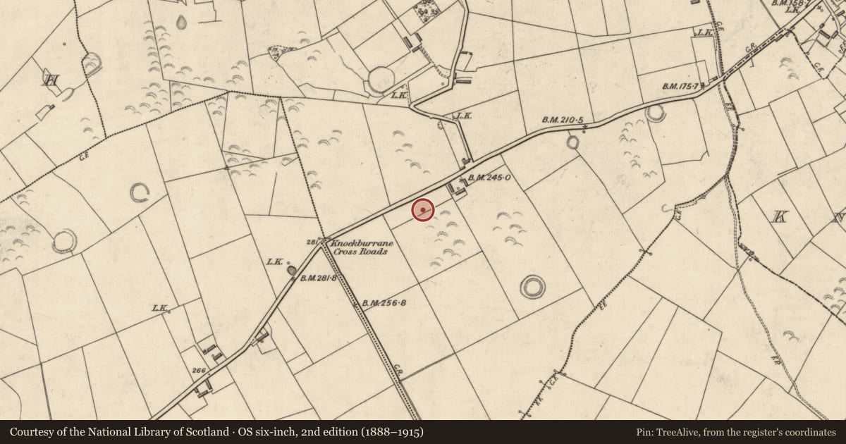 Ordnance Survey six-inch map, 2nd edition (1888–1915) covering the location of Ringfort - rath, Lissahane, County Kerry, with a pin at the register's coordinates