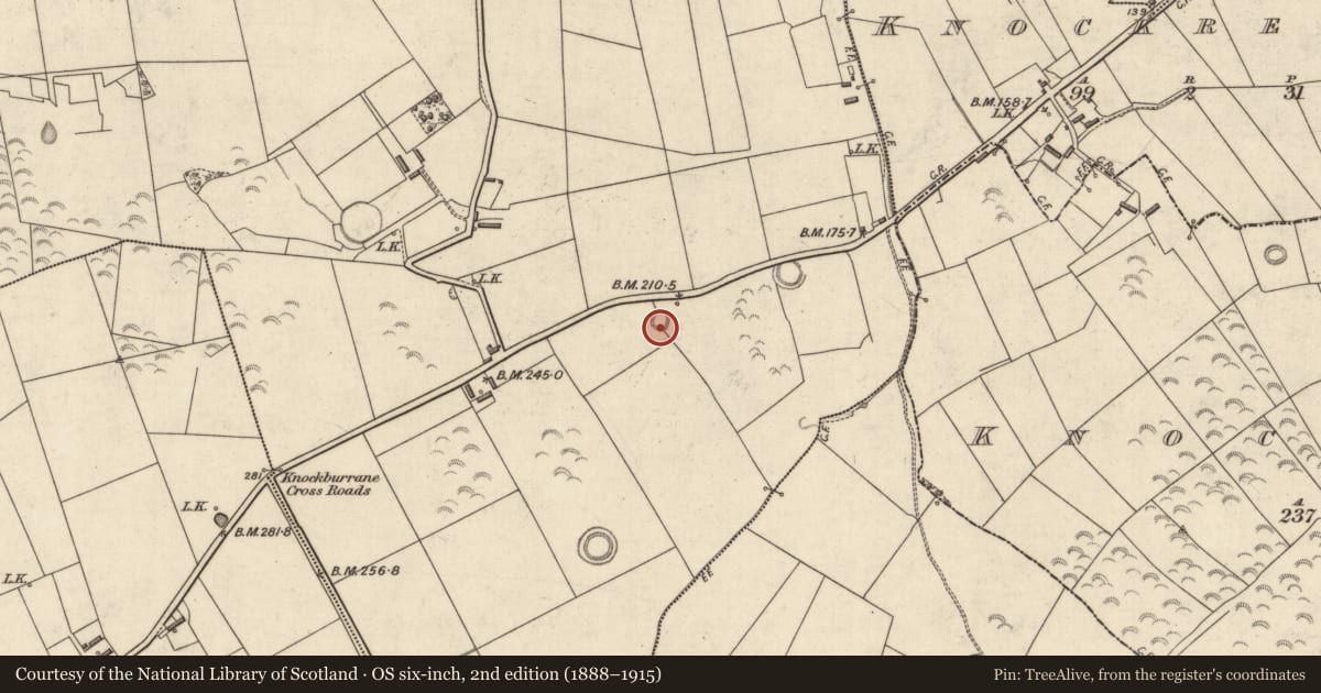 Ordnance Survey six-inch map, 2nd edition (1888–1915) covering the location of Ringfort - rath, Lissahane, County Kerry, with a pin at the register's coordinates