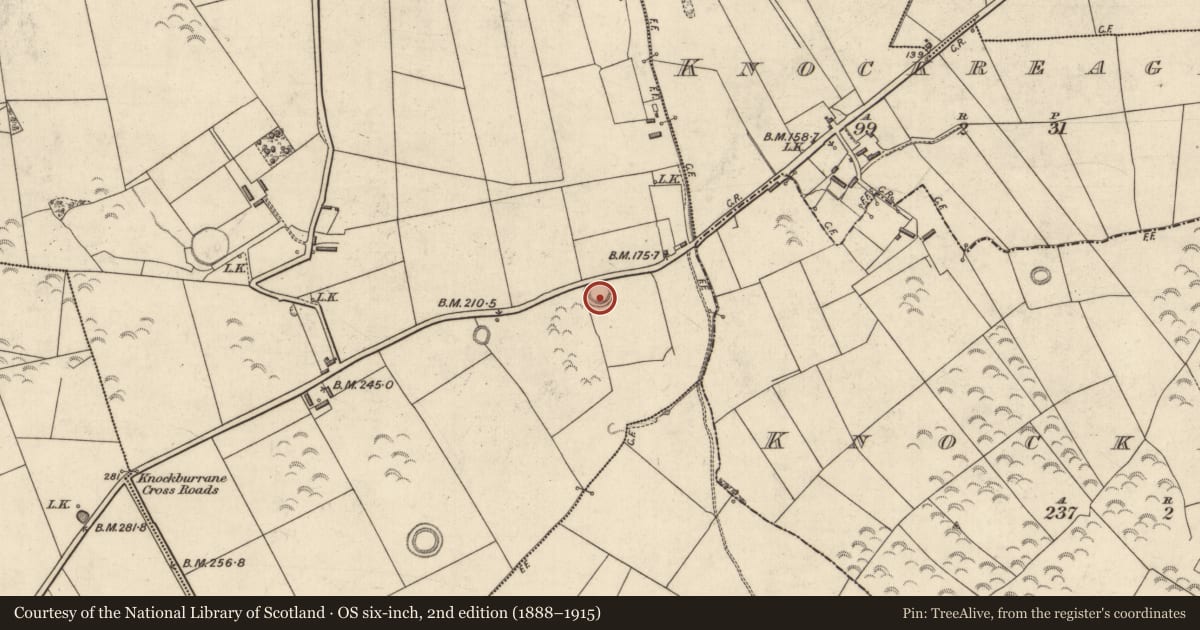 Ordnance Survey six-inch map, 2nd edition (1888–1915) covering the location of Ringfort - rath, Lissahane, County Kerry, with a pin at the register's coordinates