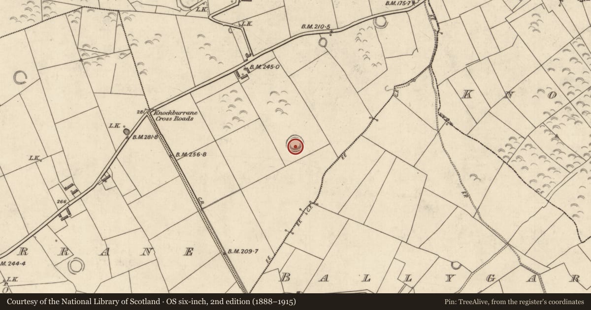 Ordnance Survey six-inch map, 2nd edition (1888–1915) covering the location of Ringfort - rath, Lissahane, County Kerry, with a pin at the register's coordinates