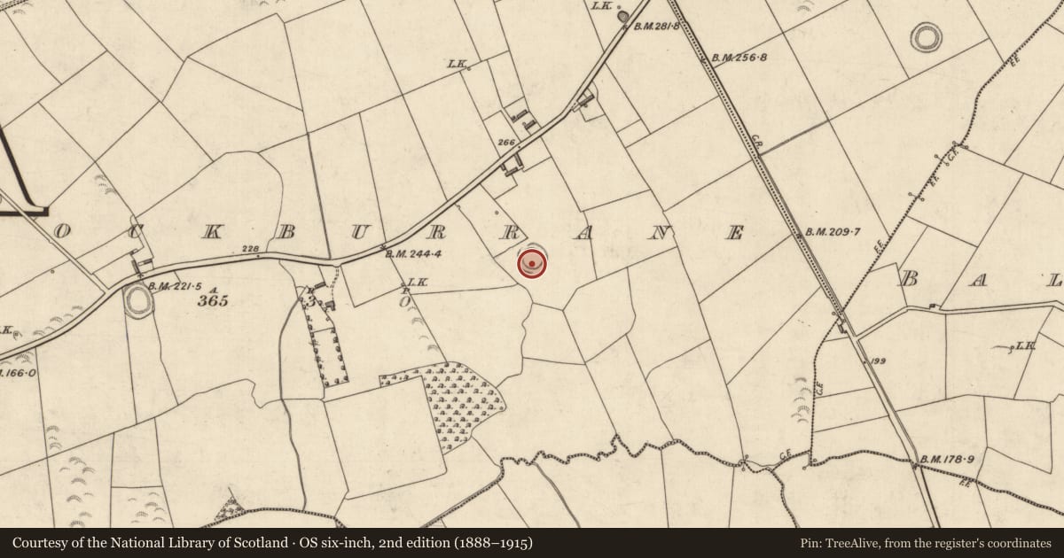 Ordnance Survey six-inch map, 2nd edition (1888–1915) covering the location of Ringfort - rath, Knockburrane, County Kerry, with a pin at the register's coordinates