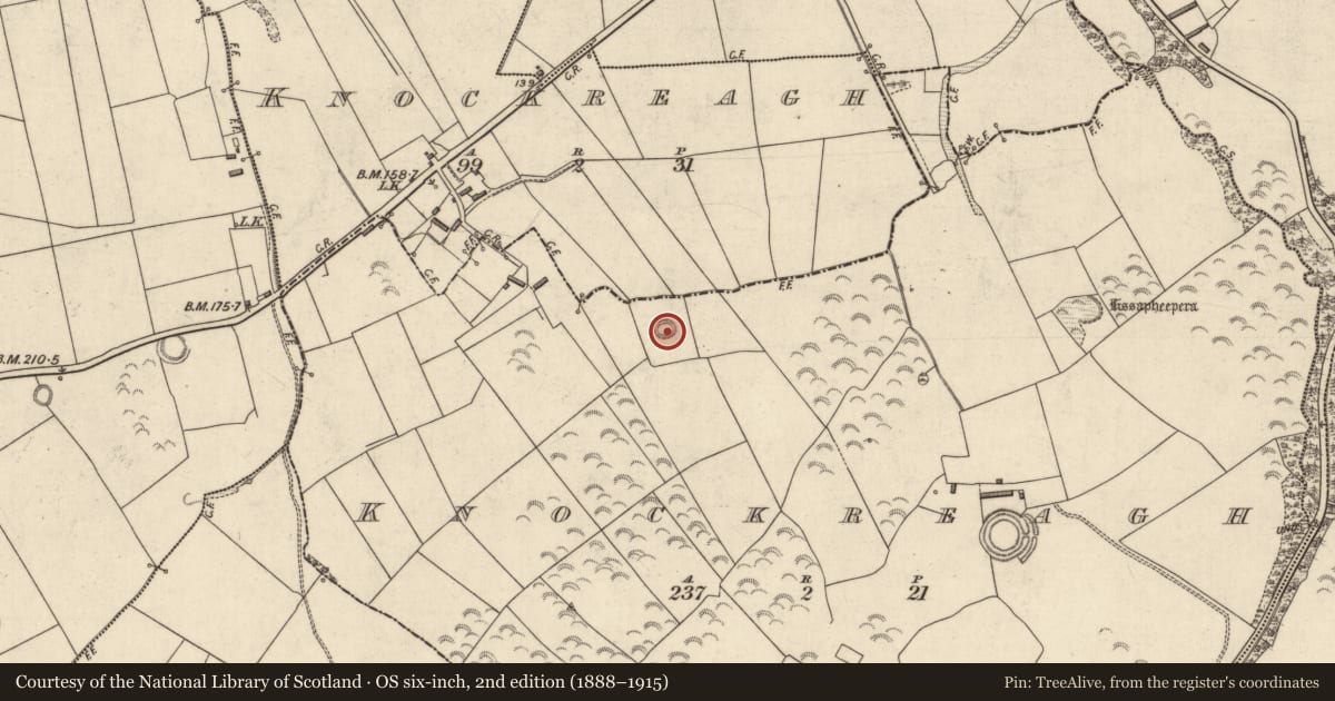 Ordnance Survey six-inch map, 2nd edition (1888–1915) covering the location of Ringfort - rath, Knockreagh (Clanmaurice By., Kilshenane Par.), County Kerry, with a pin at the register's coordinates