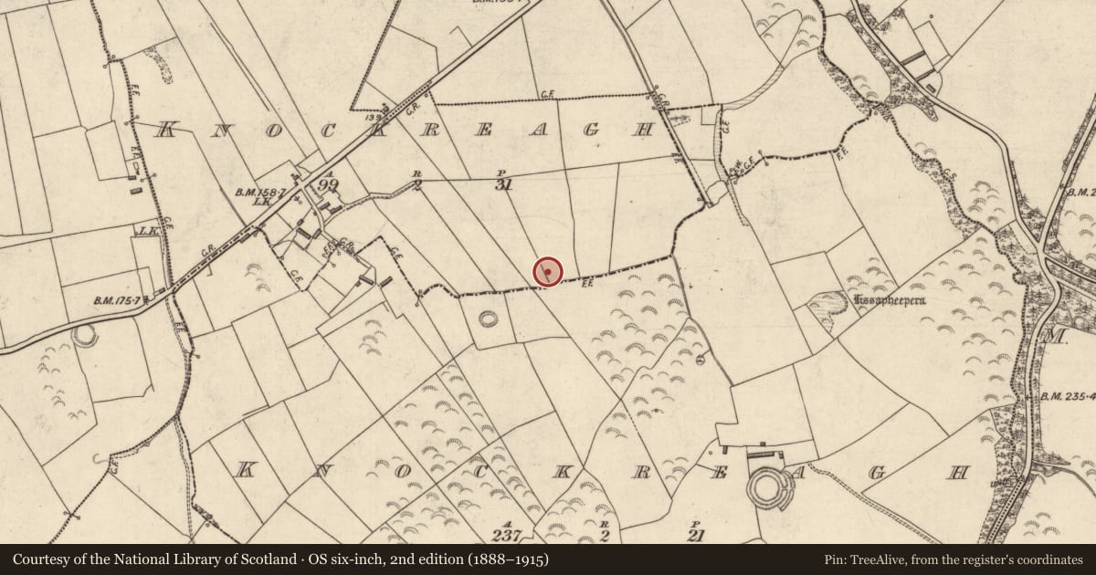 Ordnance Survey six-inch map, 2nd edition (1888–1915) covering the location of Ringfort - rath, Knockreagh (Clanmaurice By., Killfeighny Par.), County Kerry, with a pin at the register's coordinates