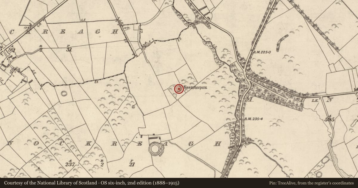 Ordnance Survey six-inch map, 2nd edition (1888–1915) covering the location of Ringfort - rath, Knockreagh (Clanmaurice By., Kilshenane Par.), County Kerry, with a pin at the register's coordinates