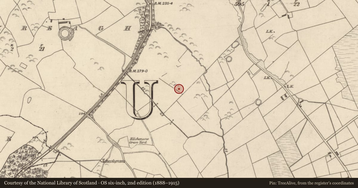 Ordnance Survey six-inch map, 2nd edition (1888–1915) covering the location of Ringfort - rath, Mountcoal, County Kerry, with a pin at the register's coordinates