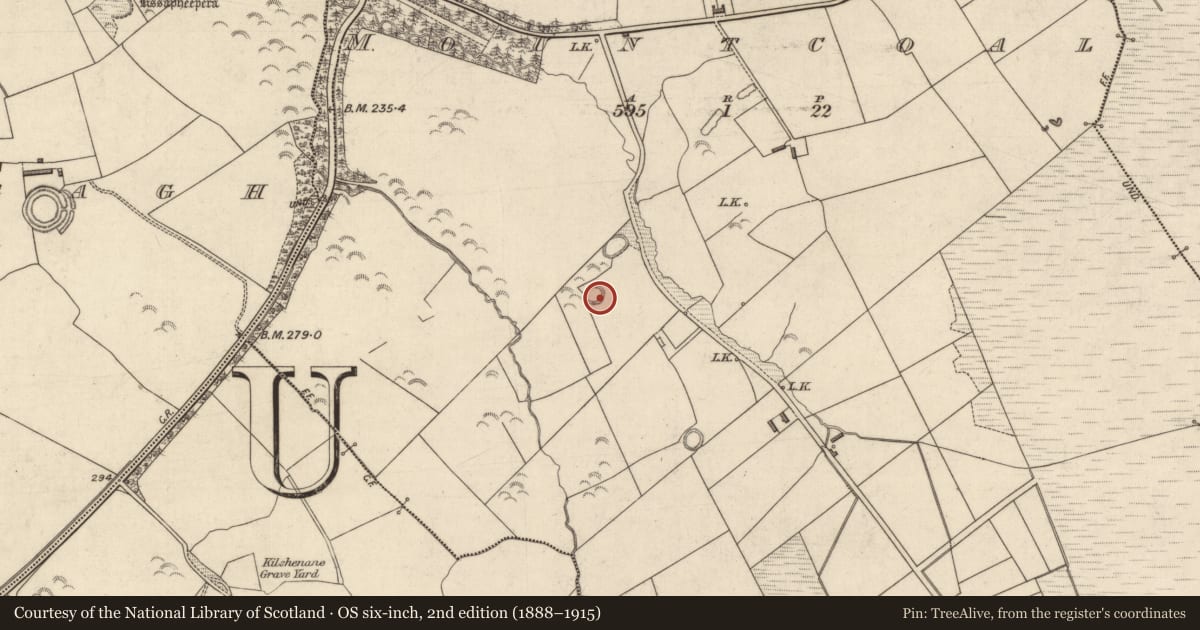 Ordnance Survey six-inch map, 2nd edition (1888–1915) covering the location of Ringfort - rath, Mountcoal, County Kerry, with a pin at the register's coordinates