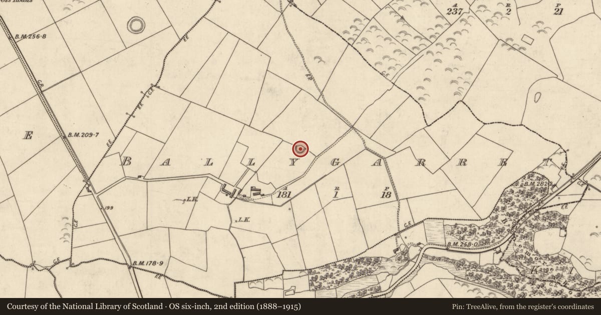 Ordnance Survey six-inch map, 2nd edition (1888–1915) covering the location of Ringfort - rath, Ballygarret, County Kerry, with a pin at the register's coordinates