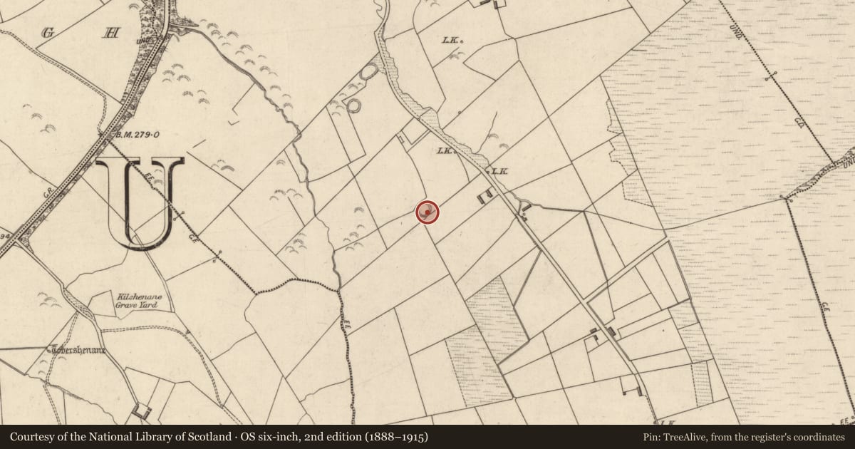Ordnance Survey six-inch map, 2nd edition (1888–1915) covering the location of Ringfort - rath, Mountcoal, County Kerry, with a pin at the register's coordinates