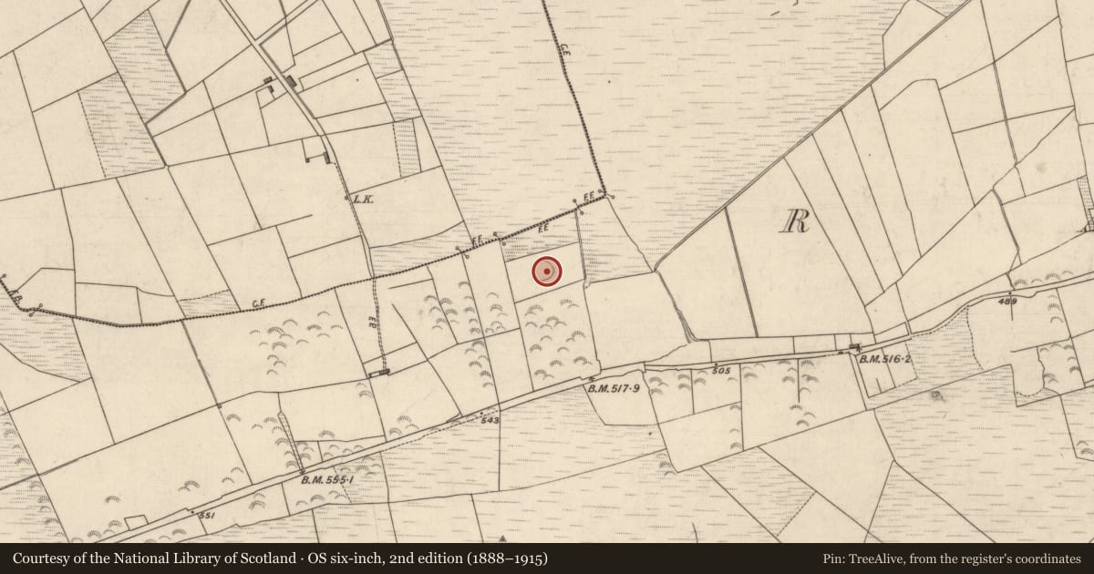 Ordnance Survey six-inch map, 2nd edition (1888–1915) covering the location of Ringfort - rath, Rathea, County Kerry, with a pin at the register's coordinates