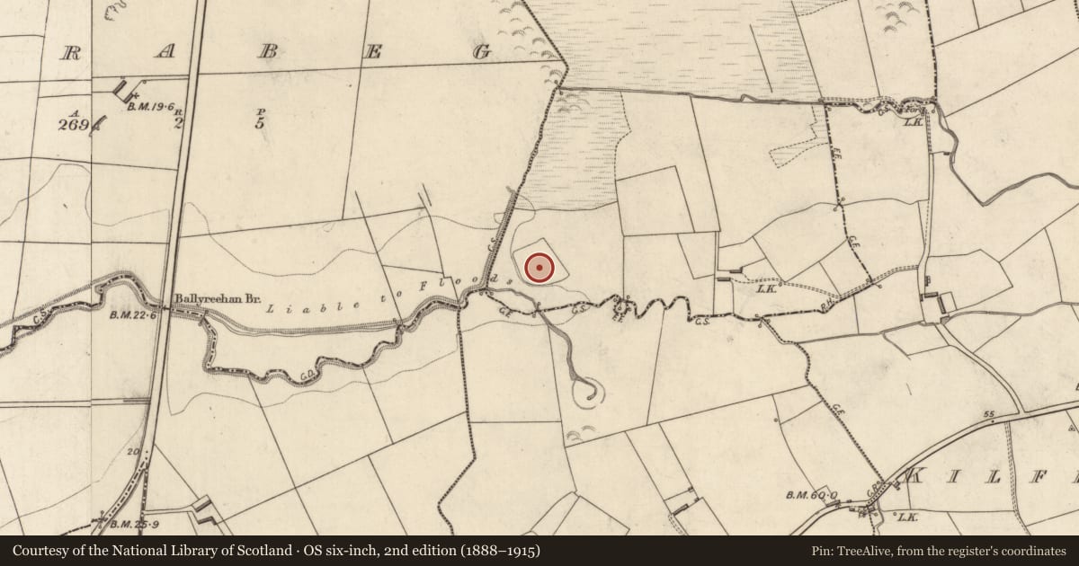 Ordnance Survey six-inch map, 2nd edition (1888–1915) covering the location of Souterrain, Ballincraheen, County Kerry, with a pin at the register's coordinates