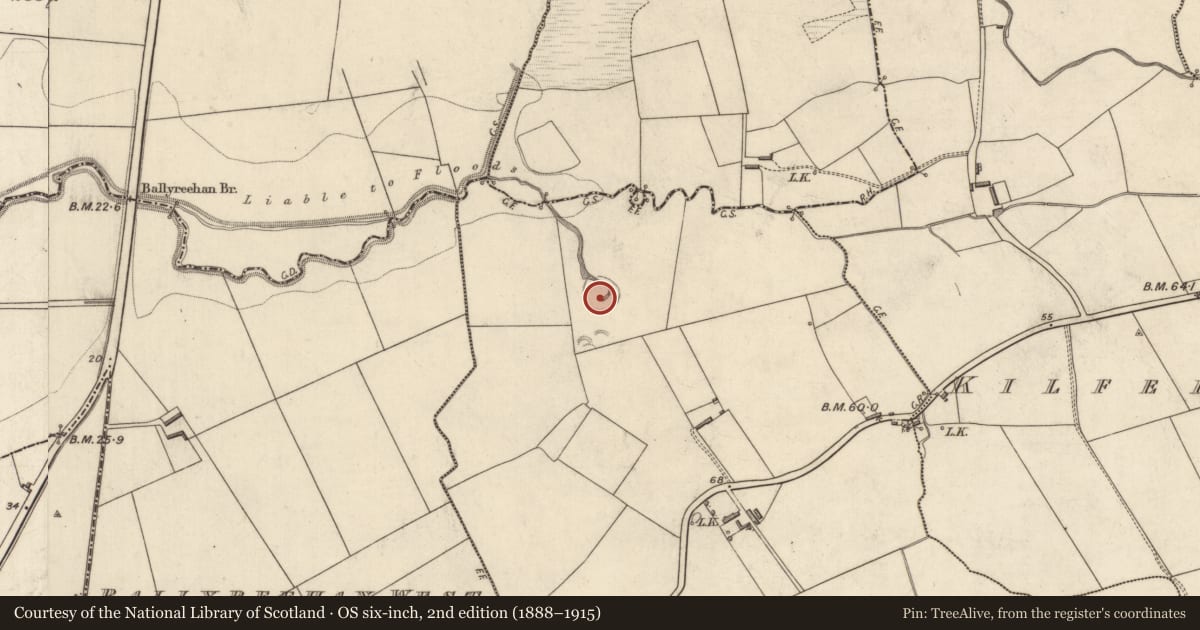 Ordnance Survey six-inch map, 2nd edition (1888–1915) covering the location of Ringfort - rath, Ballyreehan East, County Kerry, with a pin at the register's coordinates