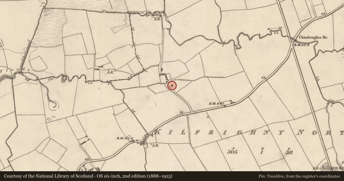 Ordnance Survey six-inch map, 2nd edition (1888–1915) covering the location of Ringfort - rath, Kilfeighny North, County Kerry, with a pin at the register's coordinates