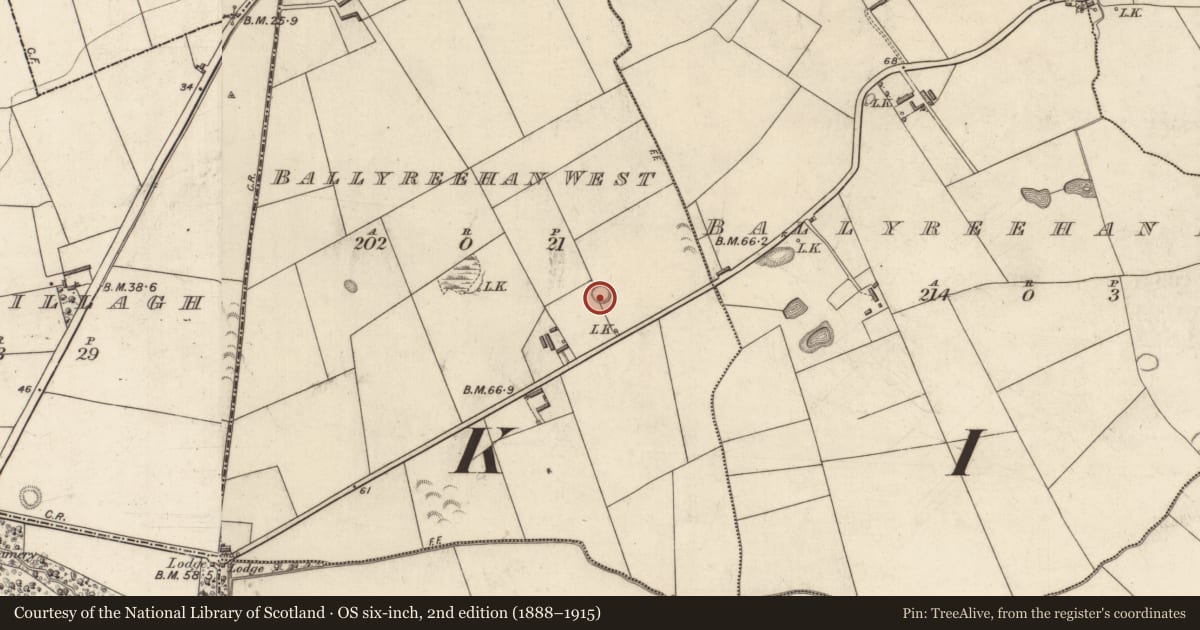 Ordnance Survey six-inch map, 2nd edition (1888–1915) covering the location of Mound, Ballyreehan West, County Kerry, with a pin at the register's coordinates