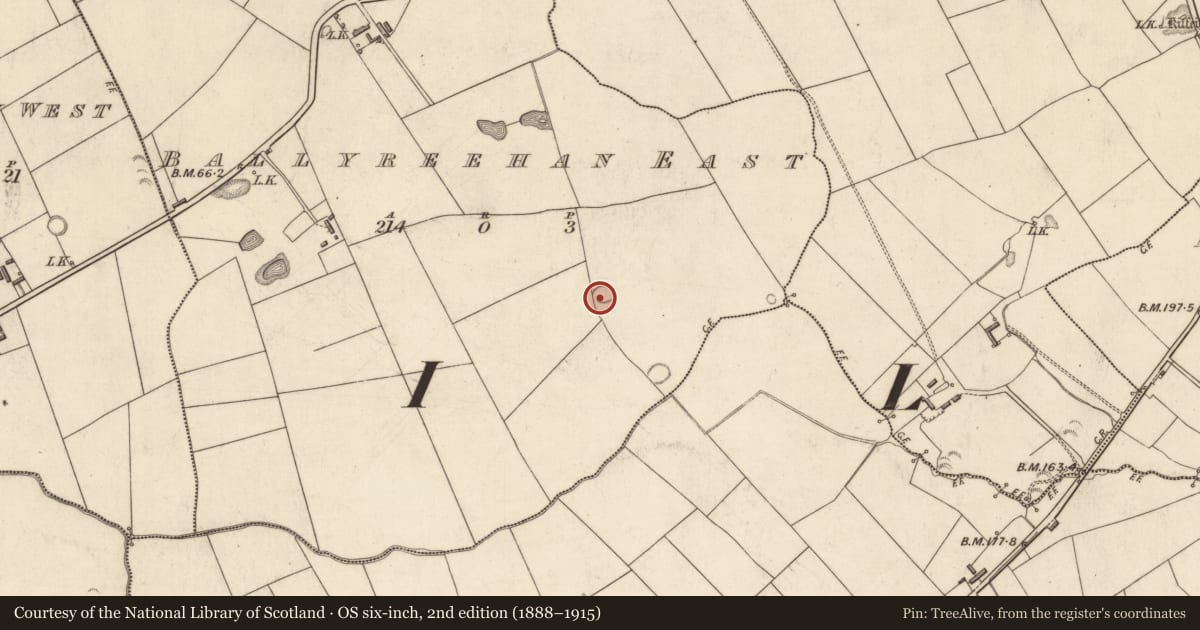 Ordnance Survey six-inch map, 2nd edition (1888–1915) covering the location of Ringfort - rath, Ballyreehan East, County Kerry, with a pin at the register's coordinates