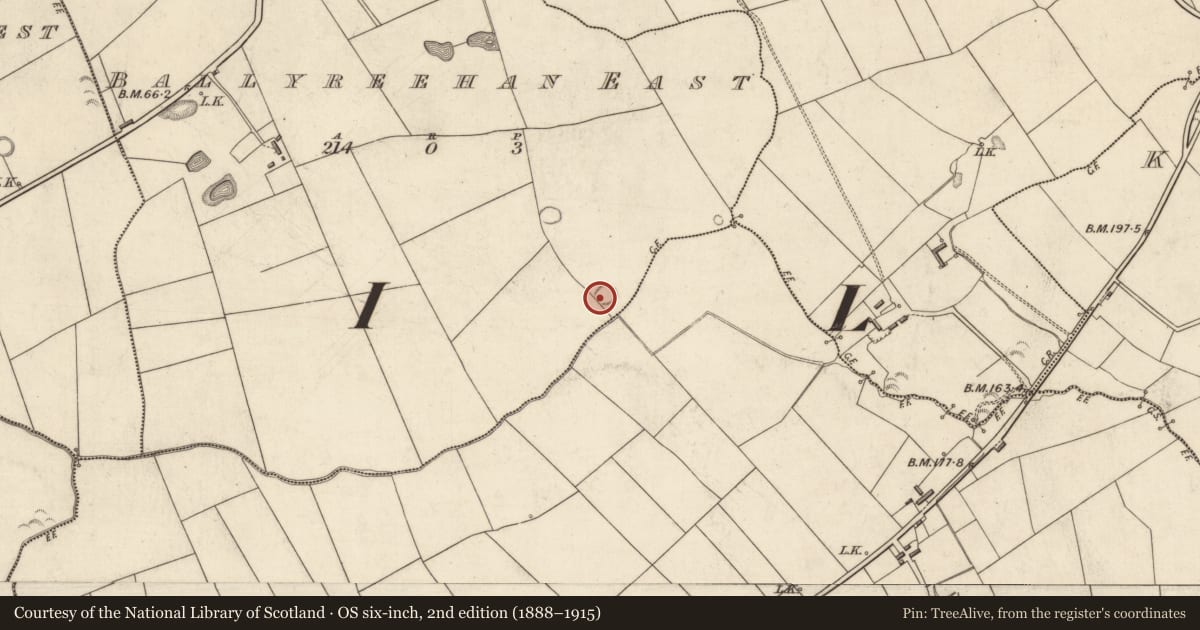Ordnance Survey six-inch map, 2nd edition (1888–1915) covering the location of Ringfort - rath, Ballyreehan East, County Kerry, with a pin at the register's coordinates