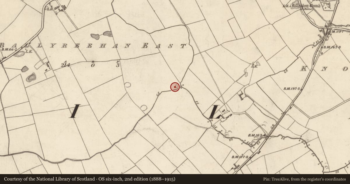Ordnance Survey six-inch map, 2nd edition (1888–1915) covering the location of Ringfort - rath, Ballyreehan East, County Kerry, with a pin at the register's coordinates