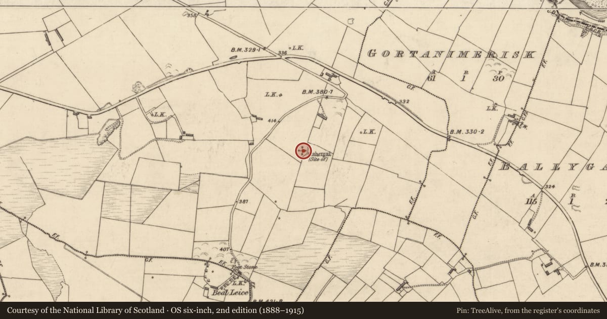 Ordnance Survey six-inch map, 2nd edition (1888–1915) covering the location of Ringfort - cashel, Trienearagh, County Kerry, with a pin at the register's coordinates