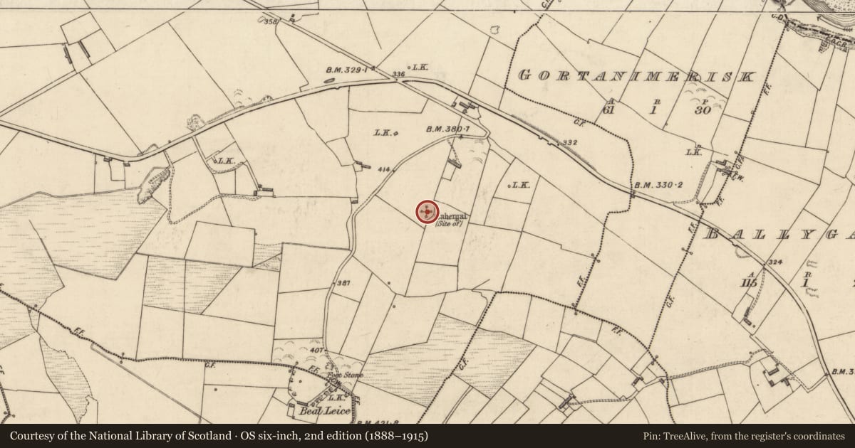 Ordnance Survey six-inch map, 2nd edition (1888–1915) covering the location of Enclosure, Trienearagh, County Kerry, with a pin at the register's coordinates