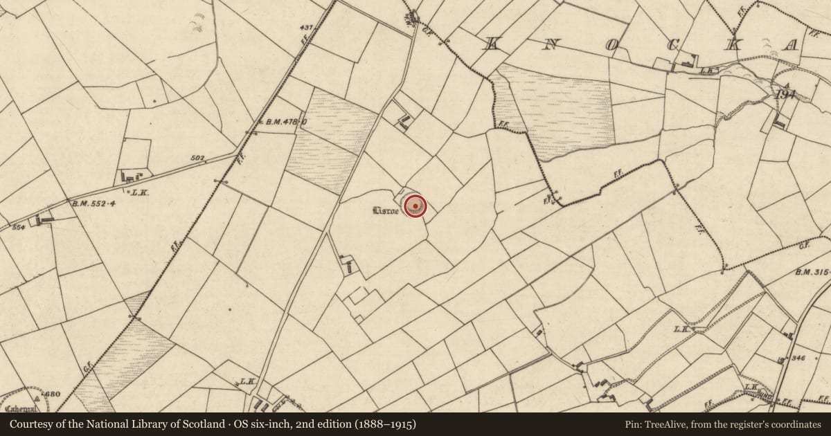 Ordnance Survey six-inch map, 2nd edition (1888–1915) covering the location of Ringfort - rath, Lisroe, County Kerry, with a pin at the register's coordinates