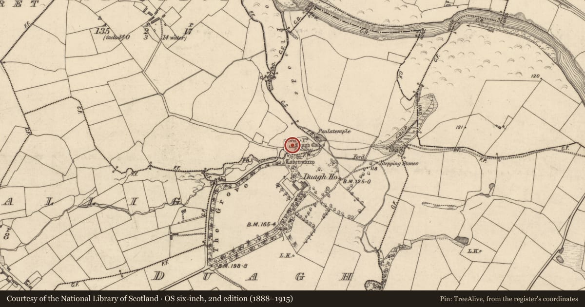 Ordnance Survey six-inch map, 2nd edition (1888–1915) covering the location of Church, Islandboy, County Kerry, with a pin at the register's coordinates