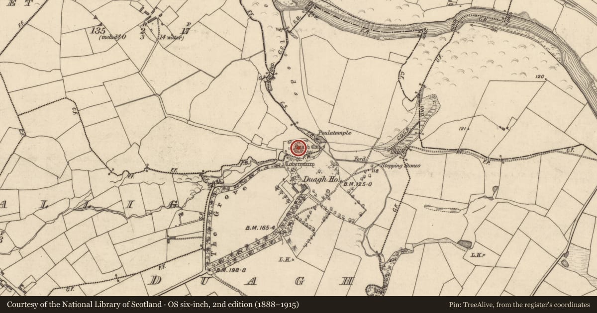 Ordnance Survey six-inch map, 2nd edition (1888–1915) covering the location of Graveyard, Islandboy, County Kerry, with a pin at the register's coordinates