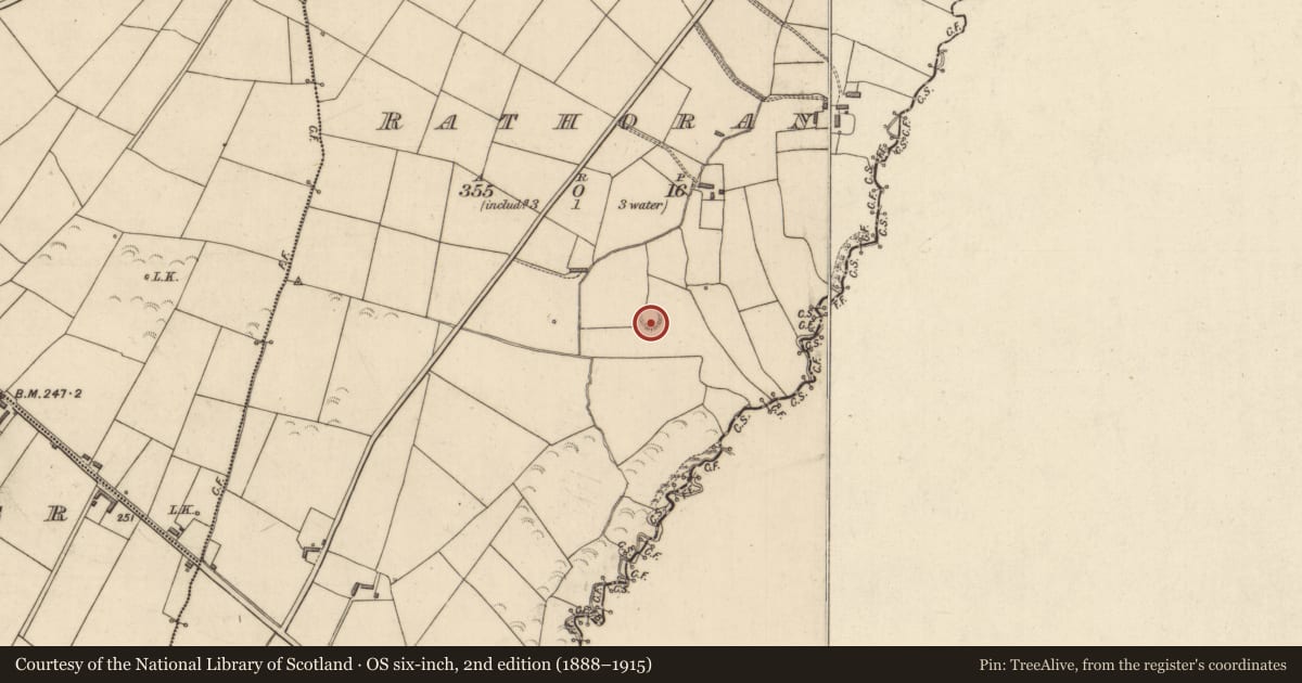 Ordnance Survey six-inch map, 2nd edition (1888–1915) covering the location of Ringfort - rath, Rathoran, County Kerry, with a pin at the register's coordinates