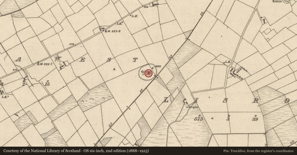 Ordnance Survey six-inch map, 2nd edition (1888–1915) covering the location of Ringfort - cashel, Lacka West, County Kerry, with a pin at the register's coordinates