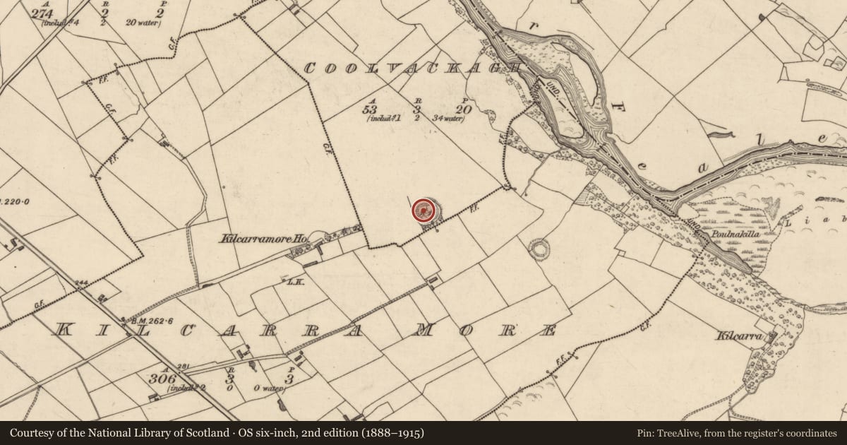 Ordnance Survey six-inch map, 2nd edition (1888–1915) covering the location of Ringfort - rath, Coolvackagh, County Kerry, with a pin at the register's coordinates