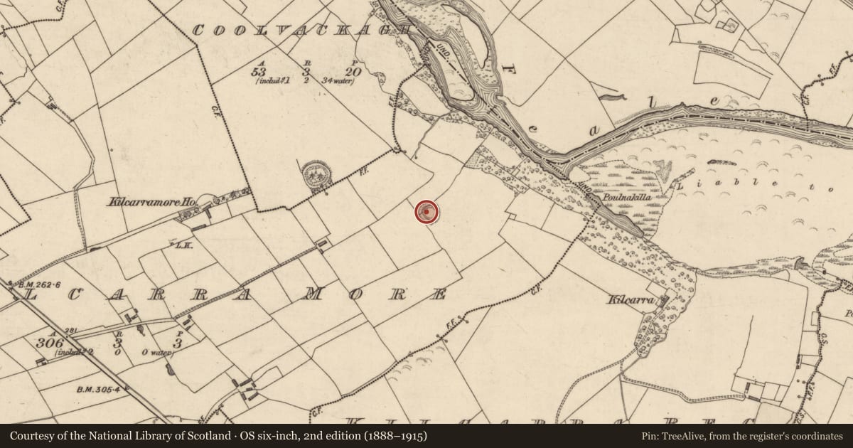 Ordnance Survey six-inch map, 2nd edition (1888–1915) covering the location of Ringfort - rath, Kilcarra More, County Kerry, with a pin at the register's coordinates