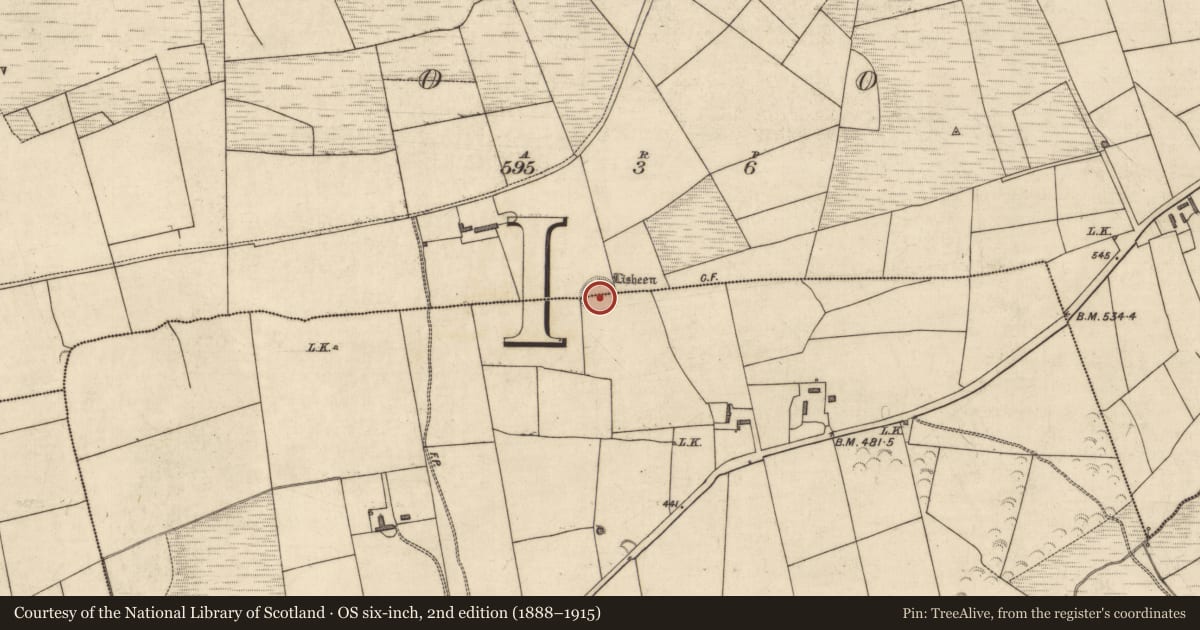 Ordnance Survey six-inch map, 2nd edition (1888–1915) covering the location of Barrow - ring-barrow, Meenanare, Toor, County Kerry, with a pin at the register's coordinates
