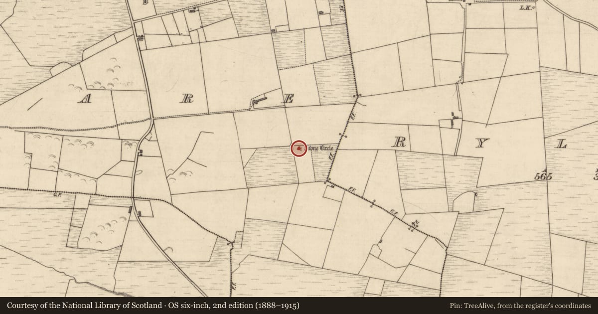 Ordnance Survey six-inch map, 2nd edition (1888–1915) covering the location of Stone circle, Meenanare, County Kerry, with a pin at the register's coordinates