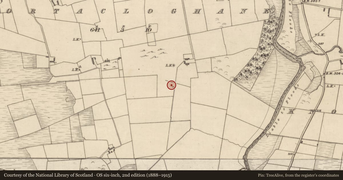 Ordnance Survey six-inch map, 2nd edition (1888–1915) covering the location of Enclosure, Gortacloghane, County Kerry, with a pin at the register's coordinates