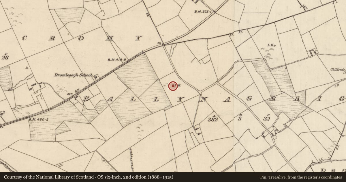 Ordnance Survey six-inch map, 2nd edition (1888–1915) covering the location of Enclosure, Ballynagraigue, County Kerry, with a pin at the register's coordinates