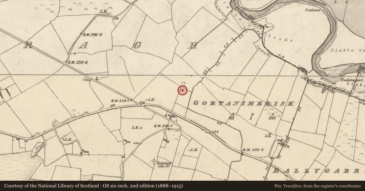 Ordnance Survey six-inch map, 2nd edition (1888–1915) covering the location of Fulacht fia, Trienearagh, County Kerry, with a pin at the register's coordinates
