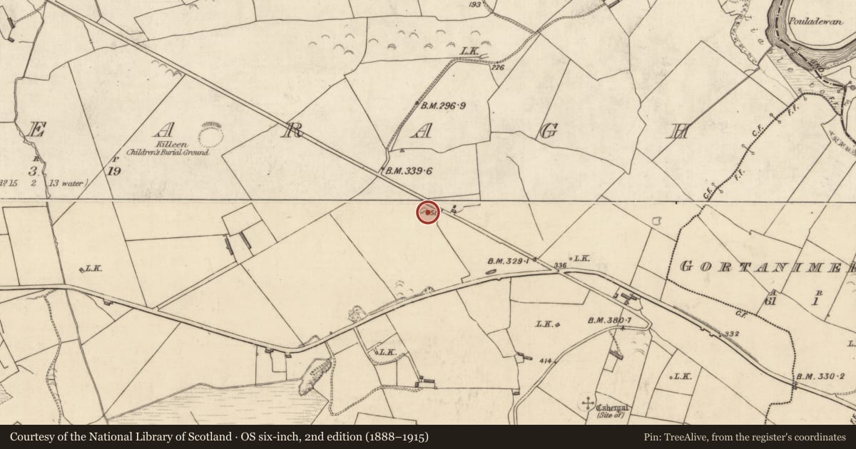 Ordnance Survey six-inch map, 2nd edition (1888–1915) covering the location of Enclosure, Trienearagh, County Kerry, with a pin at the register's coordinates