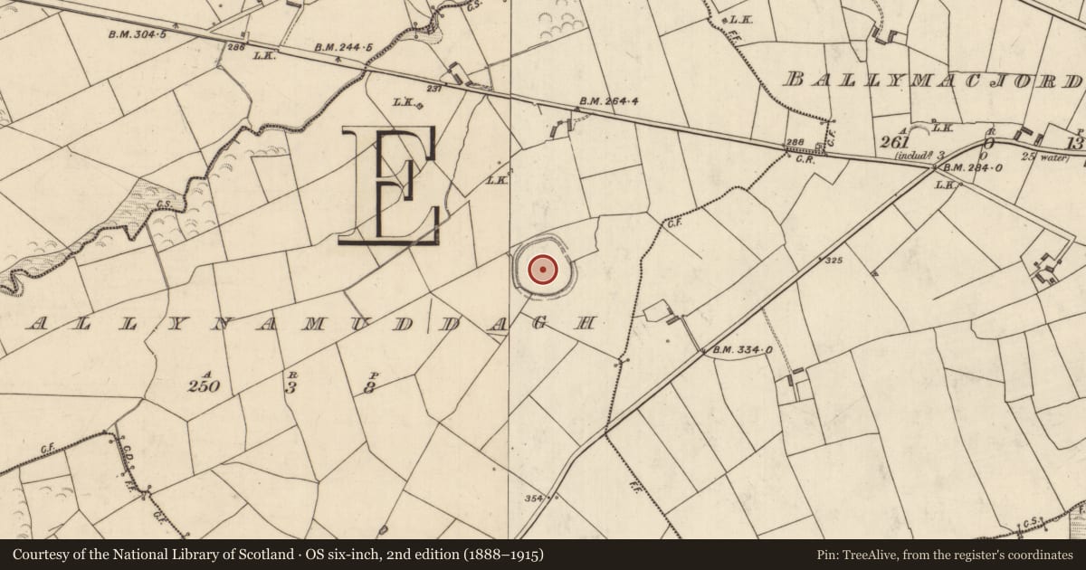 Ordnance Survey six-inch map, 2nd edition (1888–1915) covering the location of Enclosure, Ballynamuddagh, County Kerry, with a pin at the register's coordinates