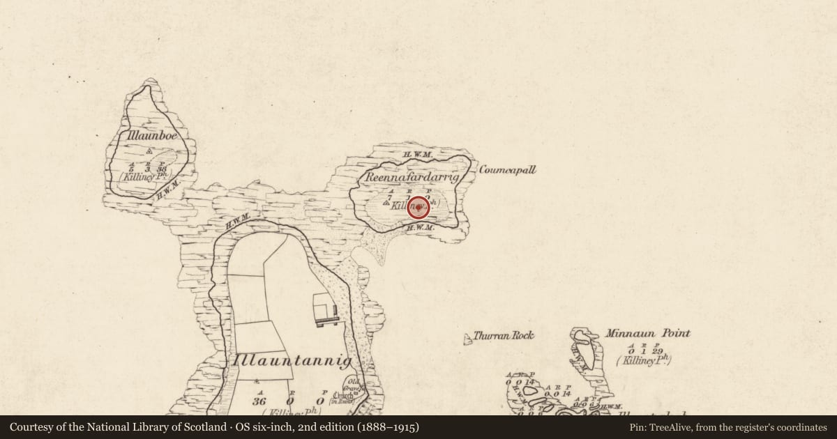 Ordnance Survey six-inch map, 2nd edition (1888–1915) covering the location of Field system, Reennafardarrig Island, County Kerry, with a pin at the register's coordinates