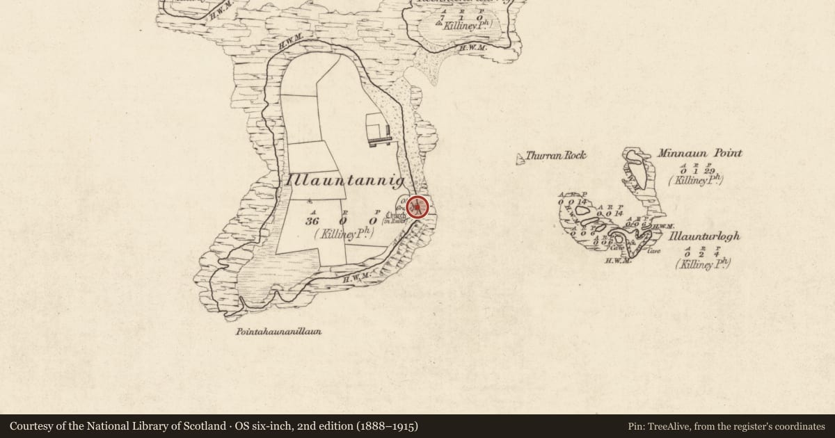 Ordnance Survey six-inch map, 2nd edition (1888–1915) covering the location of Church, Illauntannig, County Kerry, with a pin at the register's coordinates