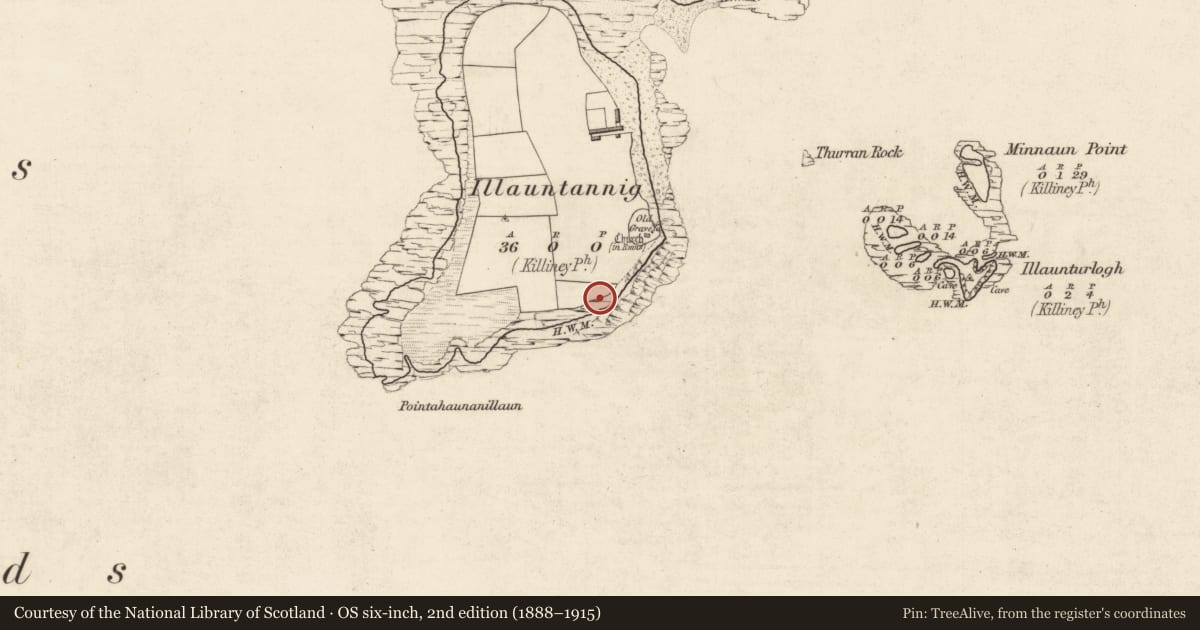 Ordnance Survey six-inch map, 2nd edition (1888–1915) covering the location of Bullaun stone, Illauntannig, County Kerry, with a pin at the register's coordinates