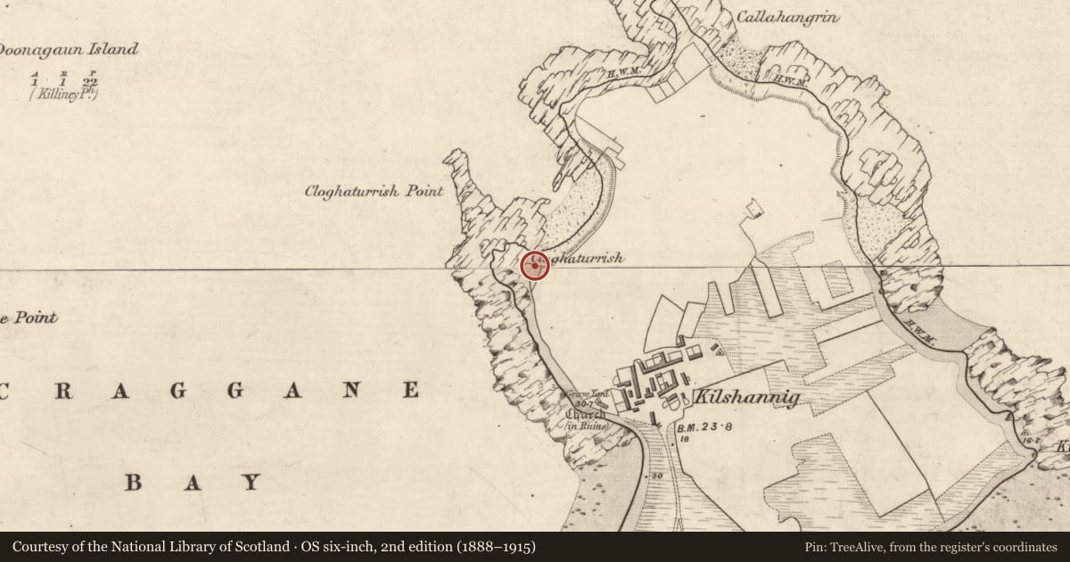 Ordnance Survey six-inch map, 2nd edition (1888–1915) covering the location of Penitential station, Kilshannig, County Kerry, with a pin at the register's coordinates