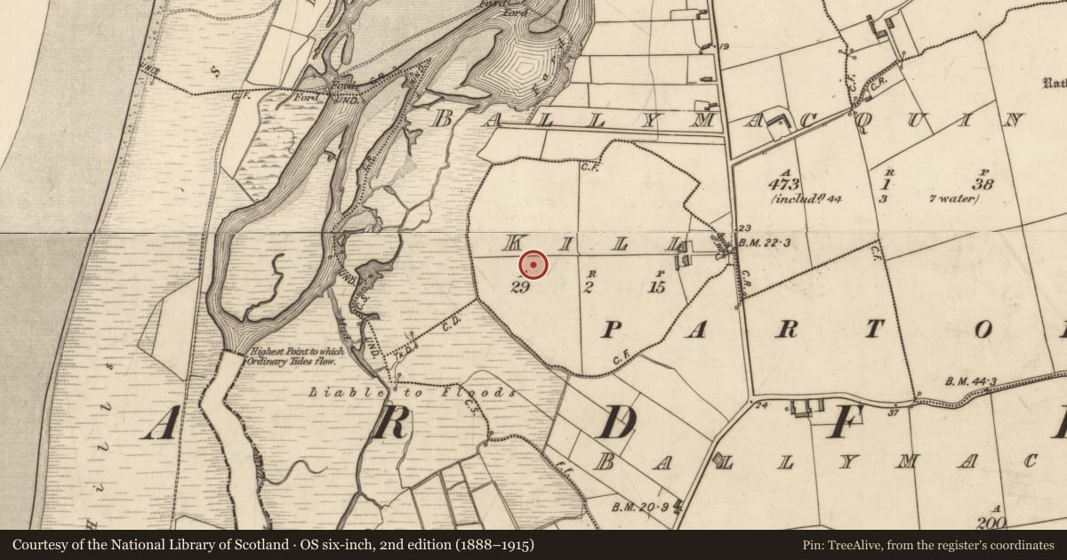 Ordnance Survey six-inch map, 2nd edition (1888–1915) covering the location of Burial ground, Kill, County Kerry, with a pin at the register's coordinates