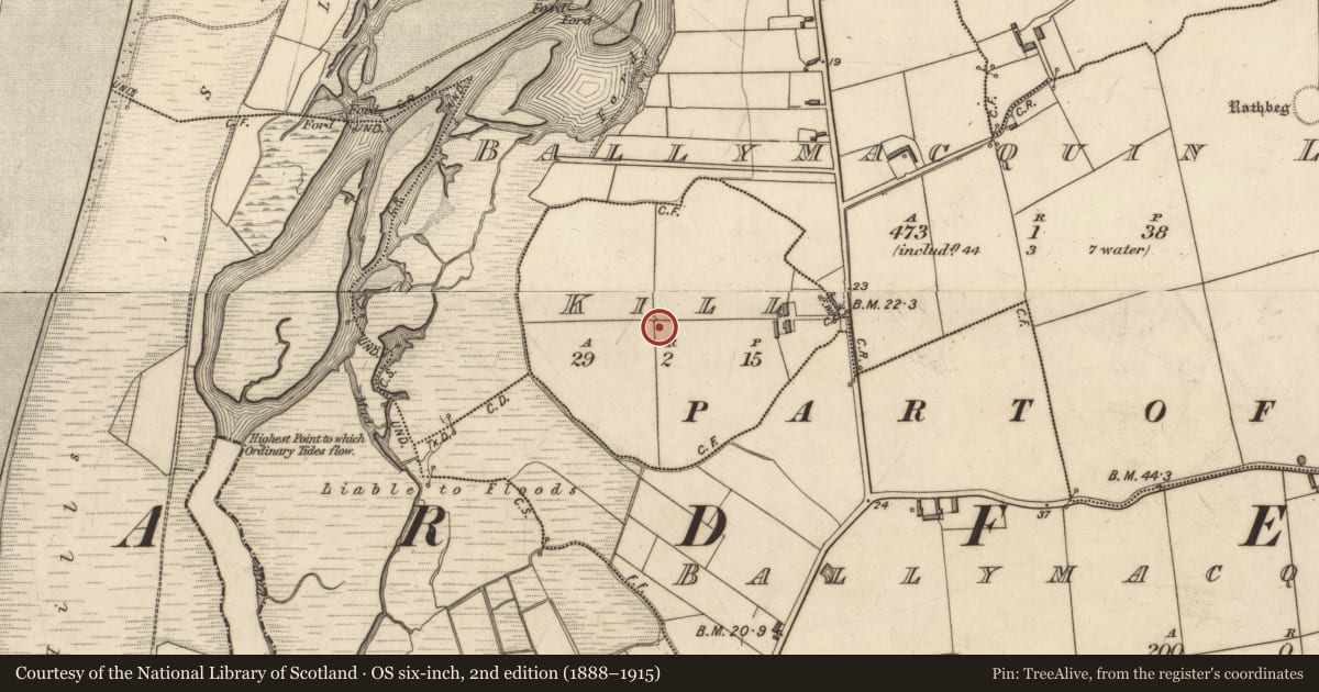 Ordnance Survey six-inch map, 2nd edition (1888–1915) covering the location of Souterrain, Kill, County Kerry, with a pin at the register's coordinates