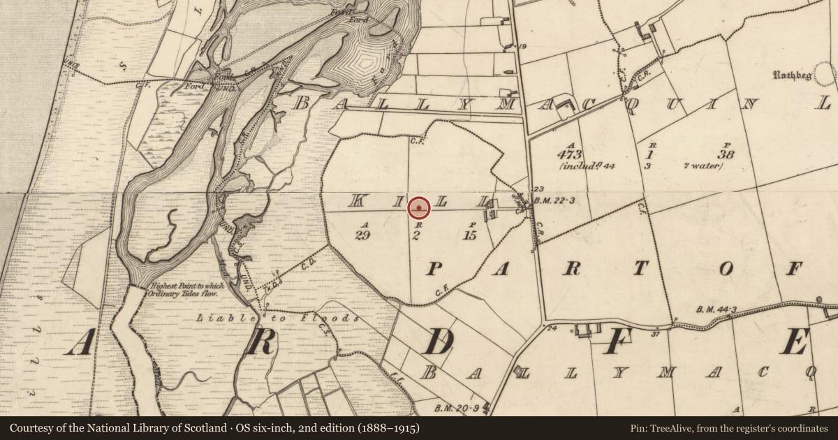 Ordnance Survey six-inch map, 2nd edition (1888–1915) covering the location of Ecclesiastical enclosure, Kill, County Kerry, with a pin at the register's coordinates