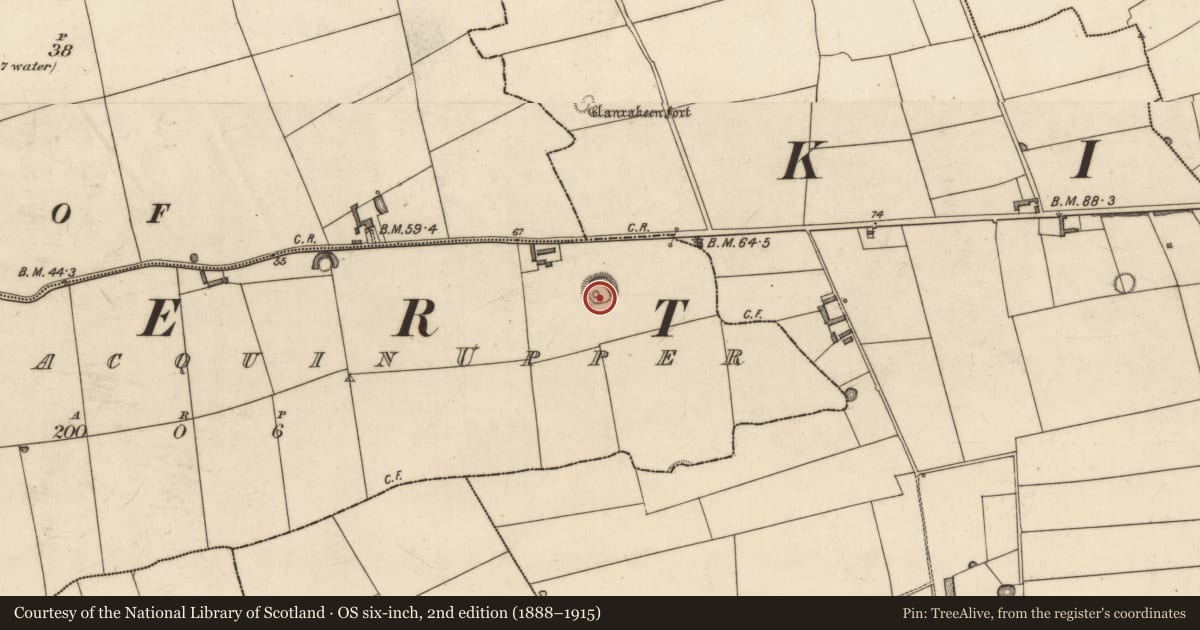 Ordnance Survey six-inch map, 2nd edition (1888–1915) covering the location of Souterrain, Ballymacquin Upper, County Kerry, with a pin at the register's coordinates