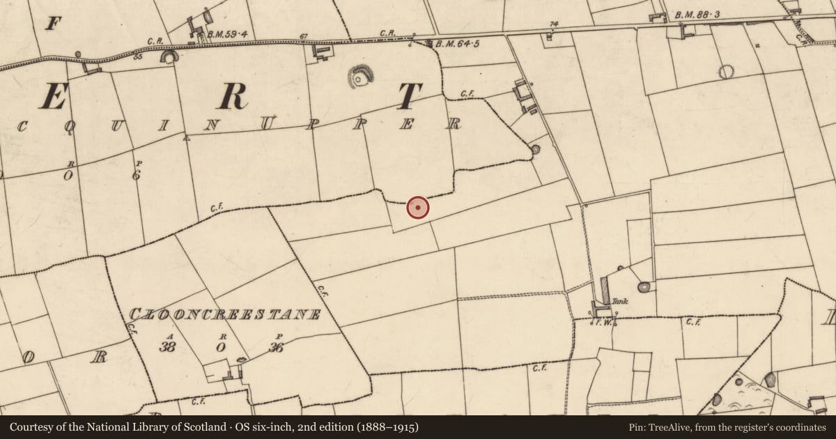 Ordnance Survey six-inch map, 2nd edition (1888–1915) covering the location of Ringfort - rath, Ballymacquin Upper, Garrynaneaskagh, County Kerry, with a pin at the register's coordinates