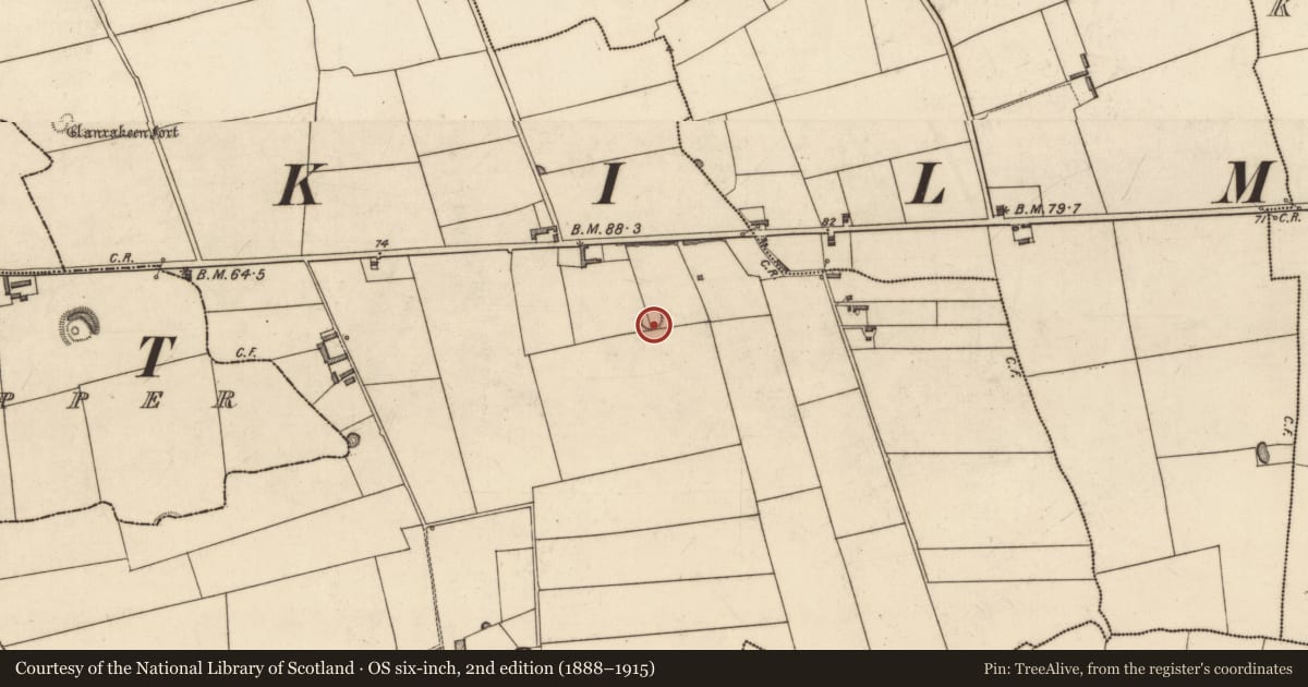Ordnance Survey six-inch map, 2nd edition (1888–1915) covering the location of Ringfort - rath, Garrynaneaskagh, County Kerry, with a pin at the register's coordinates