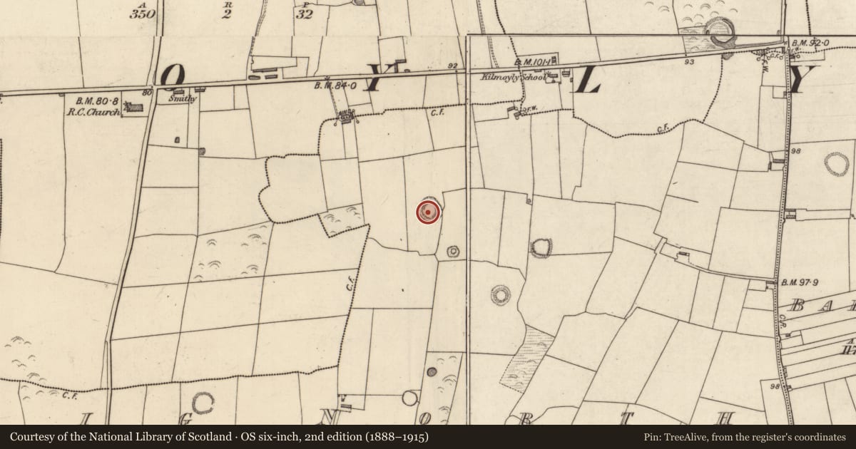 Ordnance Survey six-inch map, 2nd edition (1888–1915) covering the location of Enclosure, Lerrig North, County Kerry, with a pin at the register's coordinates