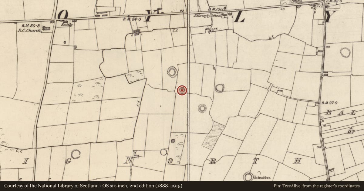 Ordnance Survey six-inch map, 2nd edition (1888–1915) covering the location of Enclosure, Lerrig North, County Kerry, with a pin at the register's coordinates